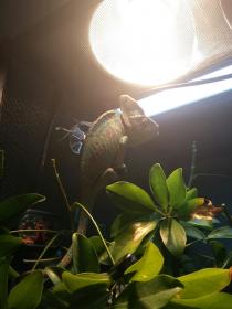20131231_055644_1.jpg