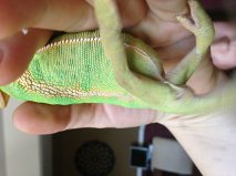 GetAttachment-3.jpg