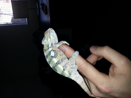 20140103_135059.jpg