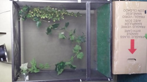 Cham enclosure.jpg