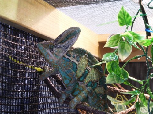 Morken shedding 4.jpg