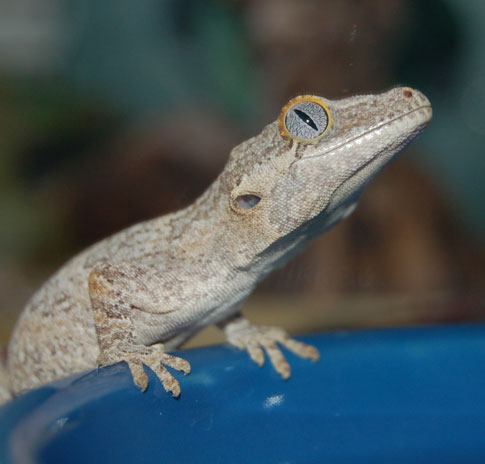 DSC_0462.jpg