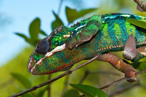 DSC_4231.jpg