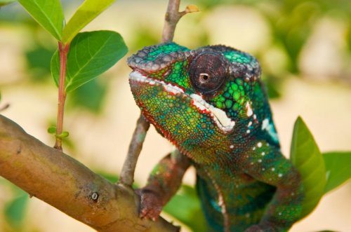DSC_4225.jpg