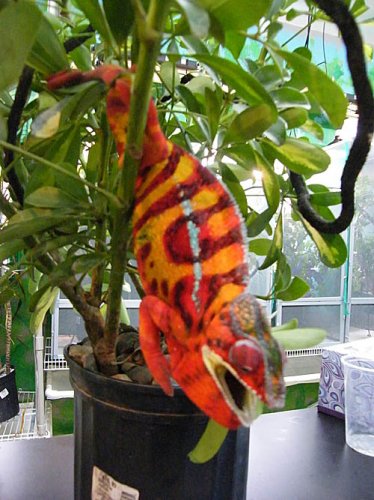 DSCF2317b.jpg