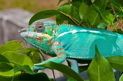 DSC_4251.jpg