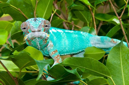 DSC_4253.jpg