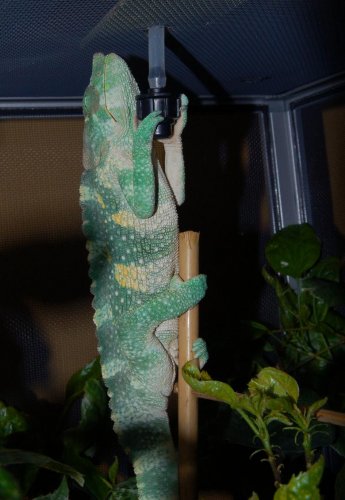 DSC_2793.jpg