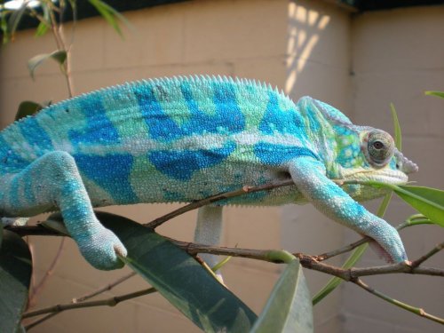 DSCN0791 [1280x768].JPG