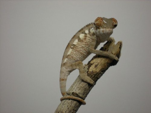 DSCN0795 [1280x768].JPG