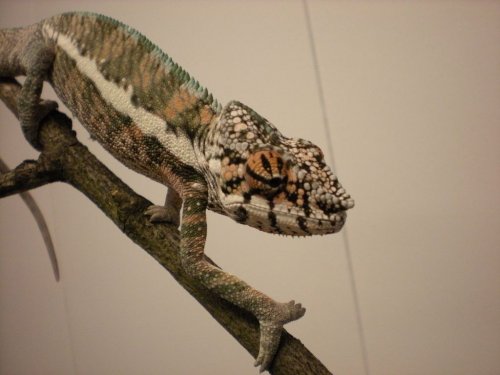 DSCN0662 [1280x768].JPG