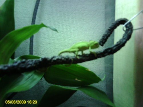 PICT0004.JPG