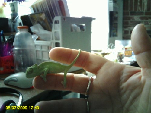 PICT0014.JPG