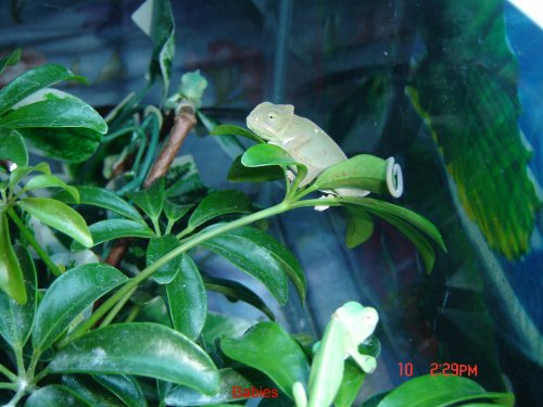 DSC02759c.jpg