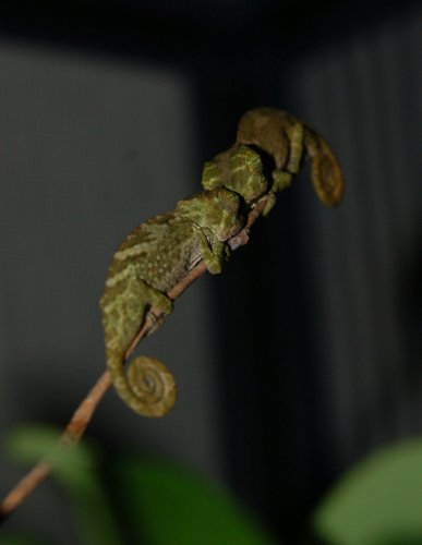 DSC_3217.jpg