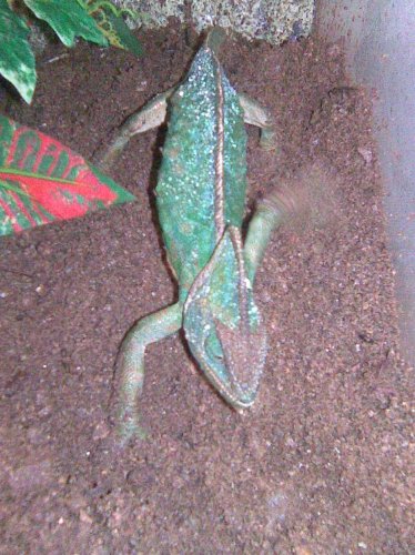 Image063.jpg