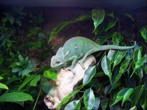 First Day 16May08.jpg