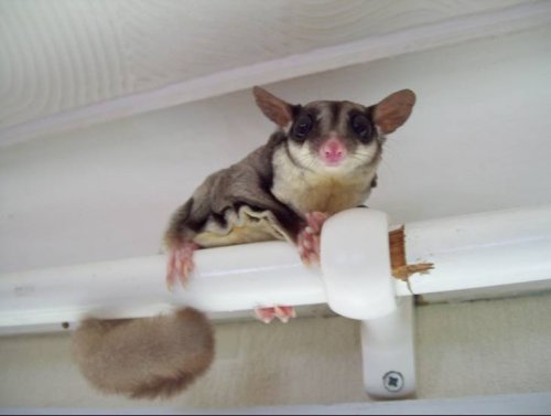 Bubble01 14May09.jpg