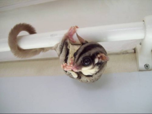 Bubble02 14May09.jpg