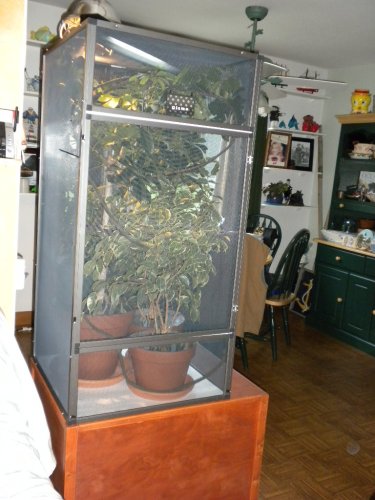 cage 015.jpg