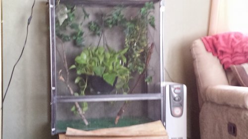 Cham enclosure 2.jpg