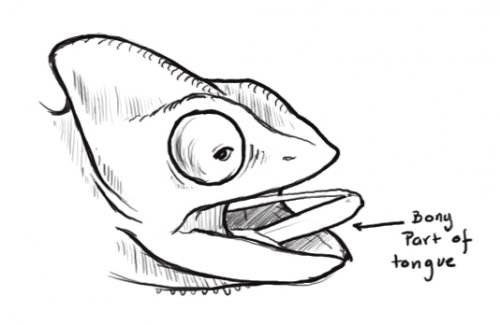 Charlotte tongue 1.jpg