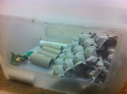 photo 1 (1).jpg