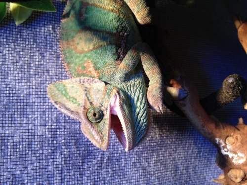 Photo 1-15-2014, 3 42 47 PM.jpg