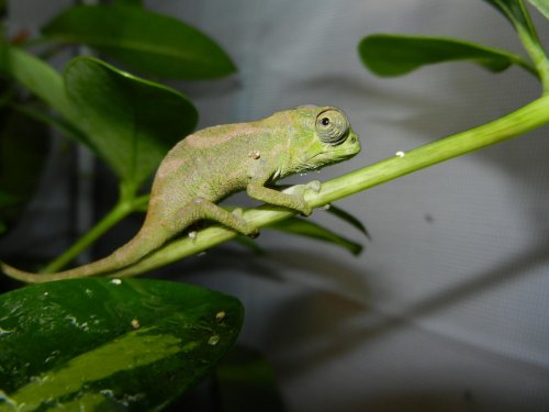 DSCN2623.jpg