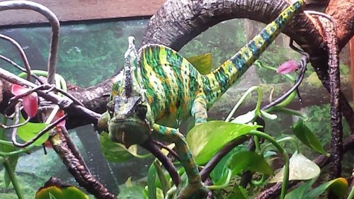 20131228_165304.jpg