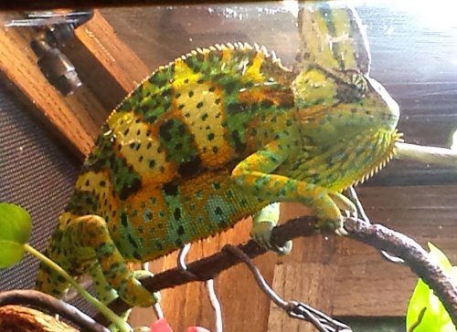 20131228_172451.jpg