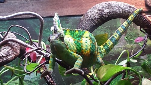20131228_165327.jpg