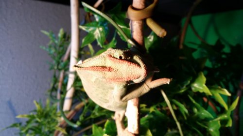 20140129_150752.jpg