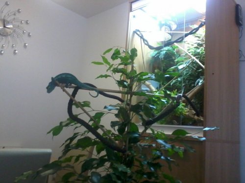 20140201_145846.jpg