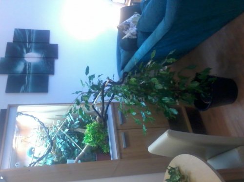 20140201_144945.jpg