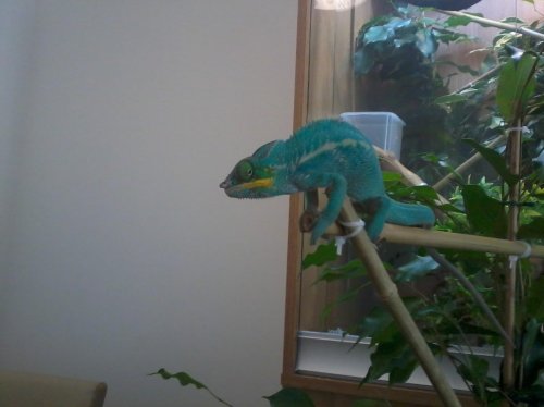 20110103_011817.jpg