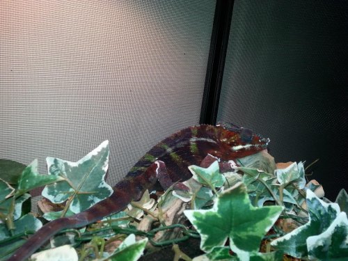 20140202_183503.jpg