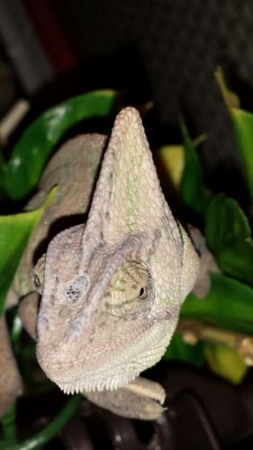 2014-02-04 19.32.06.jpg