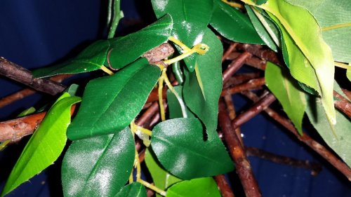 20140207_005418.jpg