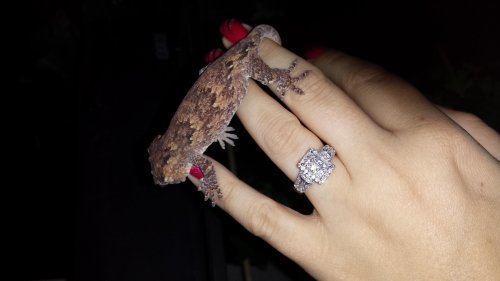 20140202_230214.jpg