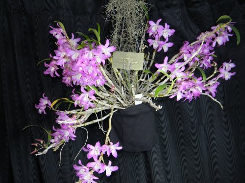 DSCN9828.jpg