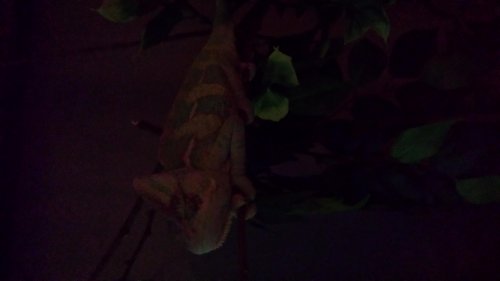20140208_181547.jpg
