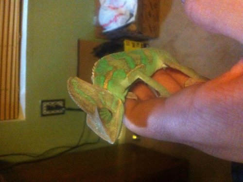 photo (2).jpg