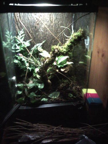 1798557_816556721693143_875562980_n (2).jpg