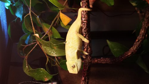 20140213_132015.jpg
