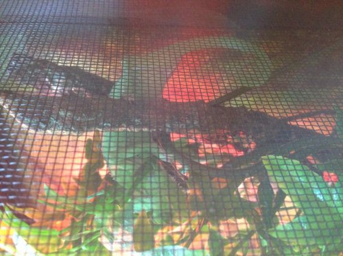 Photo 22-02-2014 09 50 26.jpg