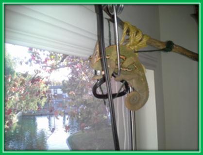 Jack Jr. enjoying the view.jpg