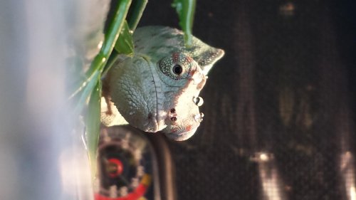 20140224_114720.jpg