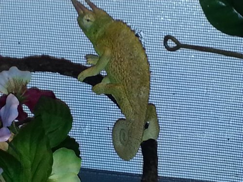 20140225_161620.jpg