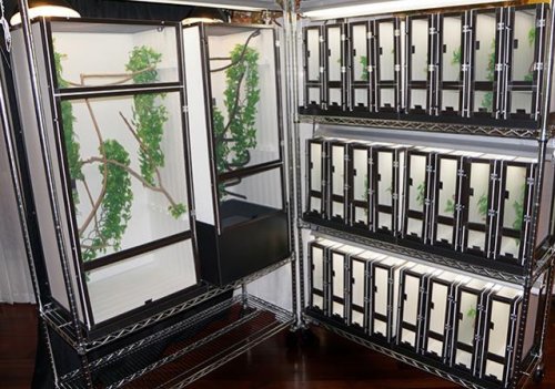 Rack system blog size.jpg